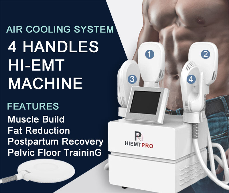 Low Price EMS Slim Muscle Building Weight Loss Machine for Aesthetic Center  Use - China Beauty Equipment, Medical Equipment