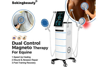 Standing Dual Channel Equine PEMF Machine