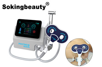 wellness pemf machine price