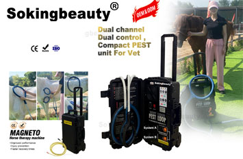 pemf therapy machine for horses