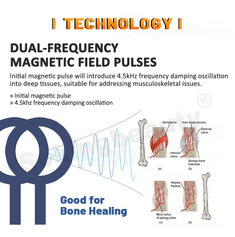 PEMF magnetic therapy equipment