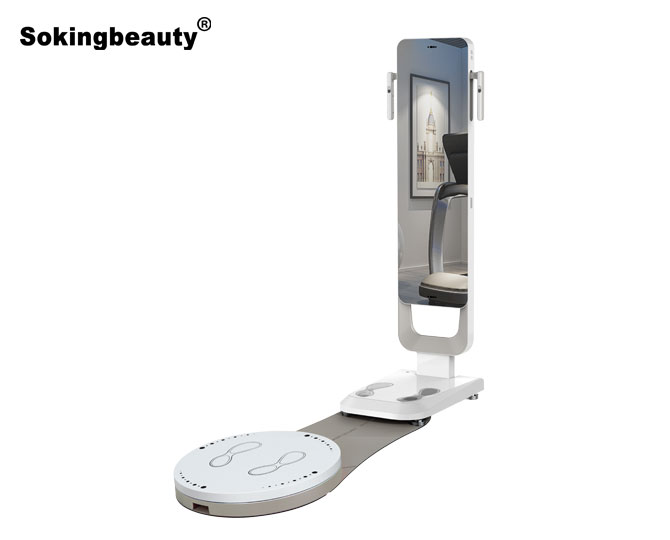 body fat analyzer scale