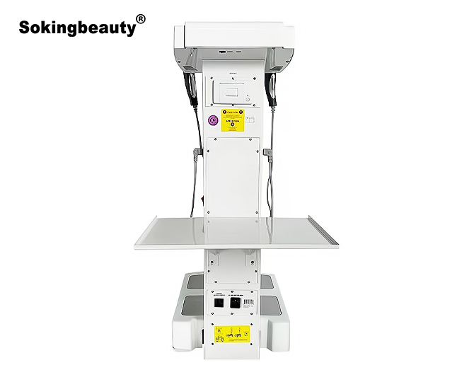 body analysis scale