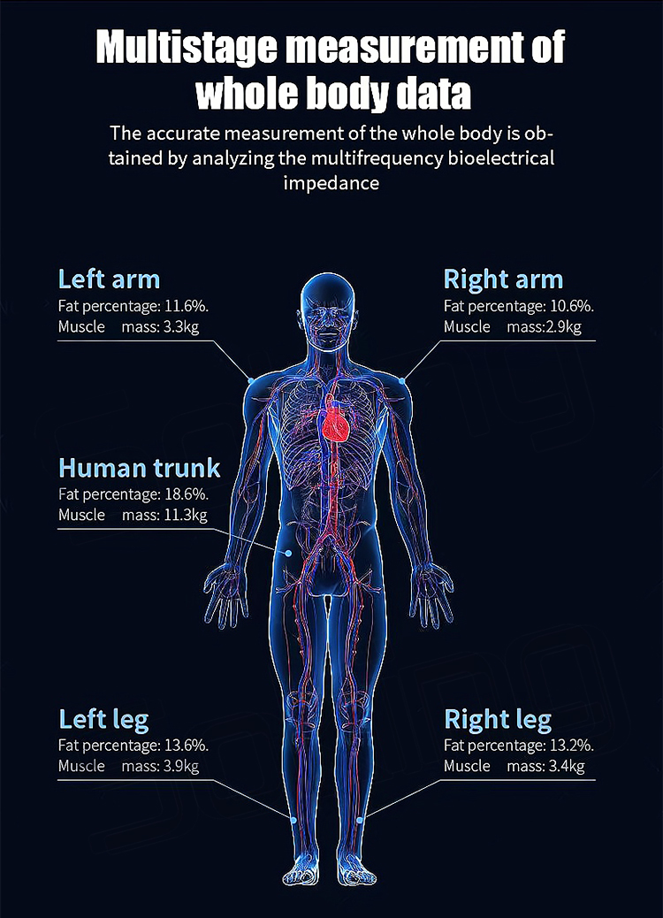 body- measuring-instrument